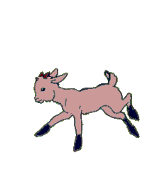Chèvre
